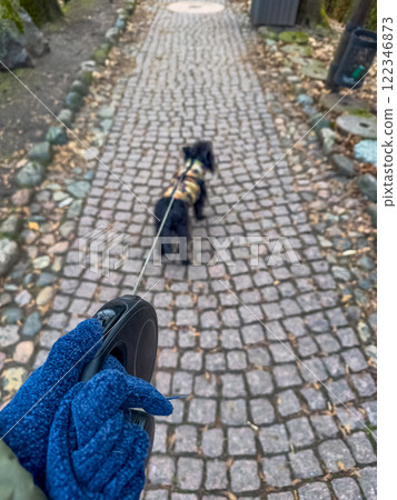 Dog on a leash walks along a cobblestone path. High quality photo 122346873