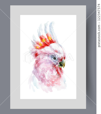 Cockatoo parrot with white feathers on its head and open beak on print. Watercolor artwork Cockatoo parrot with white feathers on its head and open beak on print. Watercolor artwork 122347374