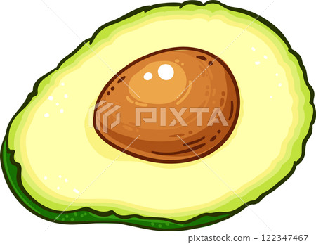 Avocado Fruit with Seed Colored Detailed Illustration 122347467