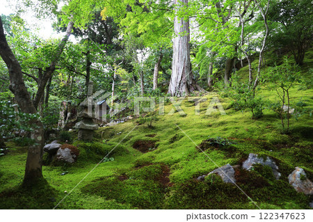 Jojakkoji Temple Kyoto Sagano Arashiyama Jojakkoji Temple Kyoto Sagano Arashiyama 122347623