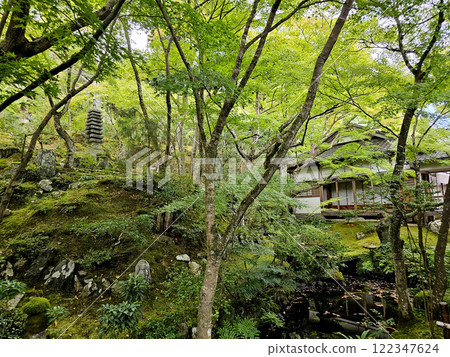 Jojakkoji Temple Kyoto Sagano Arashiyama Jojakkoji Temple Kyoto Sagano Arashiyama 122347624