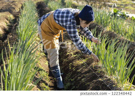 田間勞動的婦女風景 122348442
