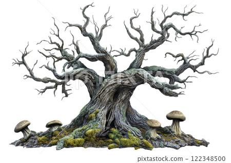 barren old tree with moss and fungi, isolated on a clean white background. 122348500