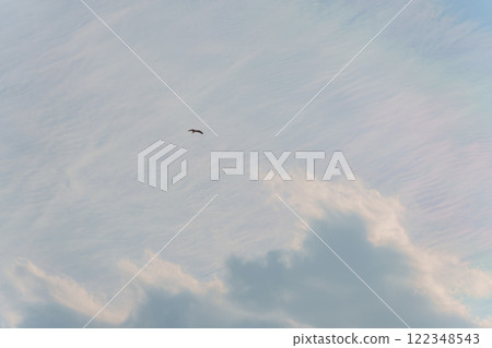 小倉騎風 122348543