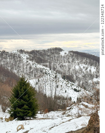 Winter forest in Serbia. Mountains Kopaonik. Snow and cold weather 122348714