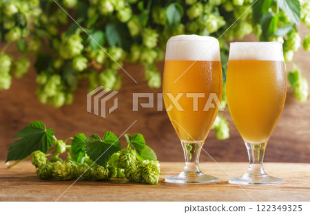 Glasses of beer and green hops on wooden table Glasses of beer and green hops on wooden table 122349325