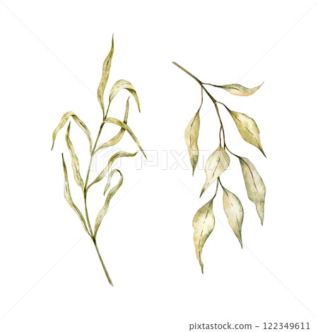 Autumn branches set with yellow and green leaves on isolated background. Watercolor drawing of Dried leaves, bleached grass for harvest festival invitations or seasonal greeting cards Botanical 122349611