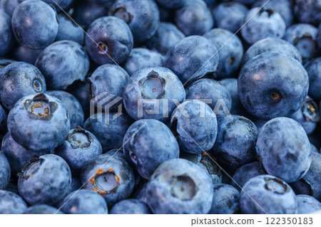 Blueberry or Bilberries. 122350183