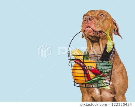 Lovable puppy and small basket of fresh vegetables 122350454
