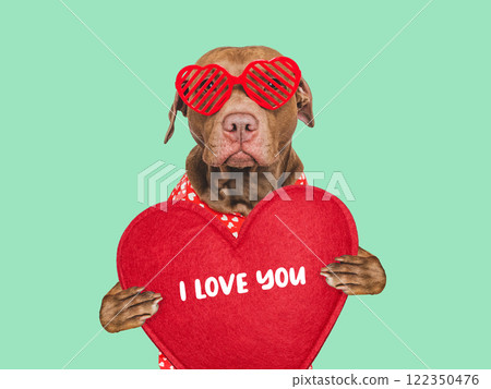 I Love You. Lovable dog and congratulatory inscription I Love You. Lovable dog and congratulatory inscription 122350476