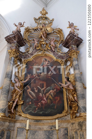 Madonna with child Jesus, St. Michael altar in the Neumunster Collegiate Church in Wurzburg, Germany 122350800