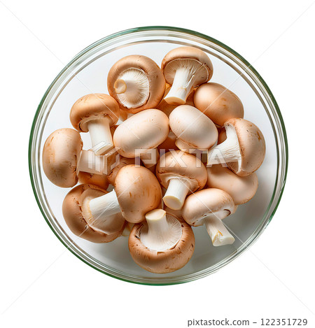盤子裡的新鮮蘑菇 122351729