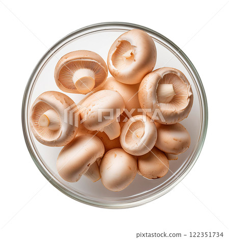 盤子裡的新鮮蘑菇 122351734