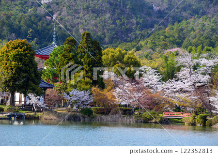 Osawa Pond: Cherry blossoms reflected on the water, a red bridge, and a pagoda 122352813