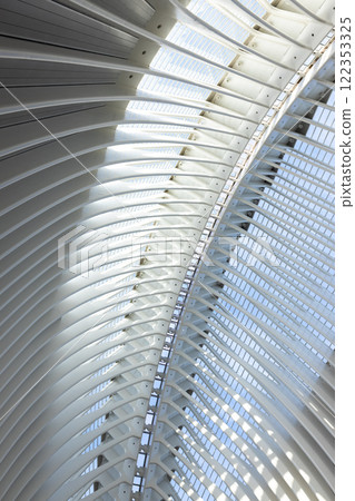 Close-up of abstract roof construction. Arts and Sciences City, Valencia. Spanish modern architecture, futuristic structure Close-up of abstract roof construction. Arts and Sciences City, Valencia. Spanish modern architecture, futuristic structure 122353325