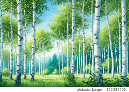 Summer birch forest 122354302