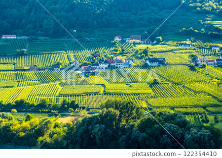 Vineyards and Donau river in Wachau valley Austria with autumn colored leaves small traditional village on sunny day. Traditional wine and tourism region, Vineyards and Donau river in Wachau valley Austria with autumn colored leaves small traditional village on sunny day. Traditional wine and tourism region, 122354410