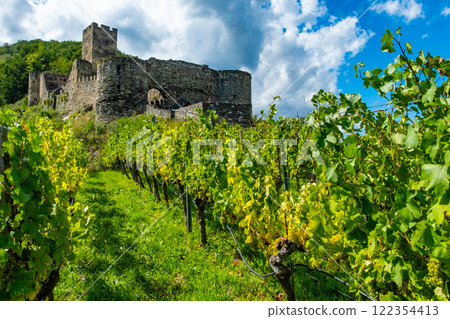 Castle Hinterhaus in Spitz Wachau Austria with Danube river and vineyards Castle Hinterhaus in Spitz Wachau Austria with Danube river and vineyards 122354413
