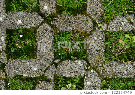 Fresh grass growing through textured concrete pavement in a minimalist urban setting Fresh grass growing through textured concrete pavement in a minimalist urban setting 122354749