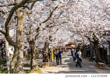 春天的新條宿,13株外山櫻花盛開,岡山縣真庭郡新條村 春天的新條宿,13株外山櫻花盛開,岡山縣真庭郡新條村 122354890