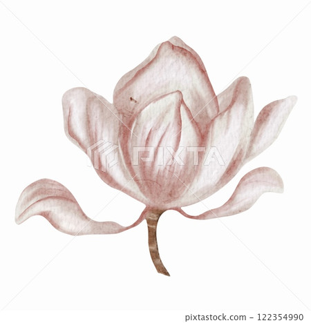 Magnificent magnolia blossom in soft watercolor captures the beauty of nature's delicate artistry 122354990