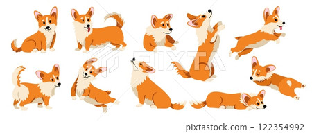 Cute corgi dog. Cartoon funny puppy, adorable doggie domestic animals in different cutie poses and situations, comic welsh dogs mascots. Vector flat set 122354992