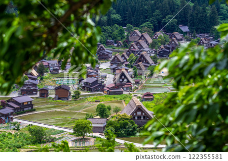 World Heritage in June: Rural scenery of Shirakawa Village (Shirakawa-go) 122355581