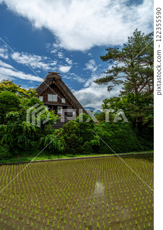 六月的世界遺產白川村(白川鄉)的田園風光 六月的世界遺產白川村(白川鄉)的田園風光 122355590