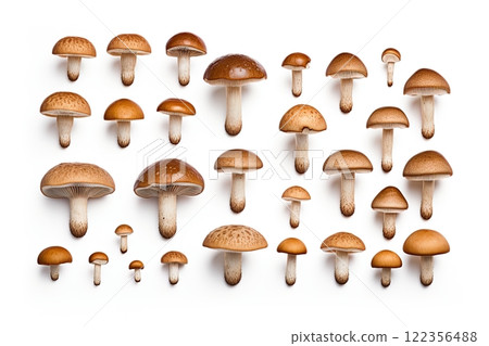 Shimeji mushrooms isolated on white background. Generative Ai 122356488