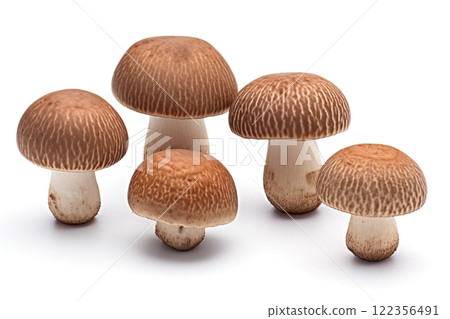 Shimeji mushrooms isolated on white background. Generative Ai 122356491