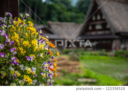 World Heritage Site in Early Summer: Gokayama Gassho-style (Suganuma Gassho-style) 122356528