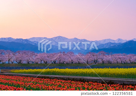 朝日船川春天四重奏 朝日船川春天四重奏 122356581