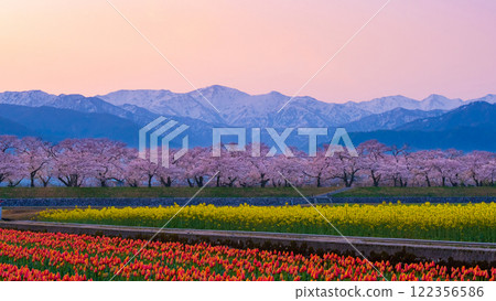 Asahi Funakawa Spring Quartet 122356586