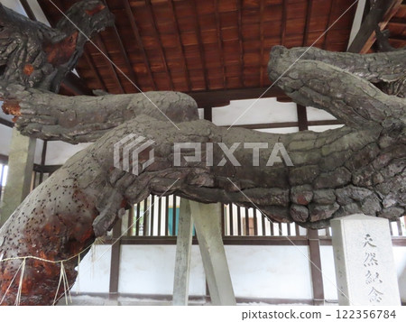 高砂神社位於兵庫縣高砂市，以相生松樹聞名，是高砂能樂和能樂歌曲的背景之一，也是淨化邪靈之地的無水池塘。 122356784