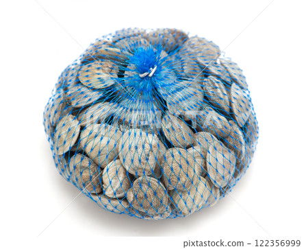 clams on a white background 122356999