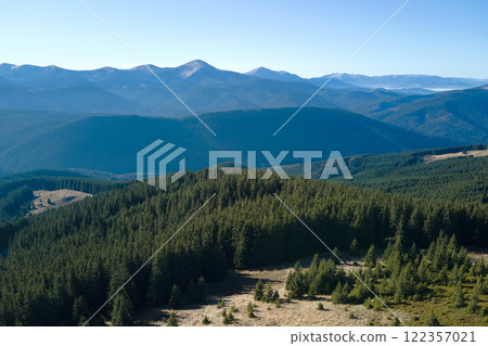 Aerial view of mountain hills covered with dense green pine woods on bright day 122357021