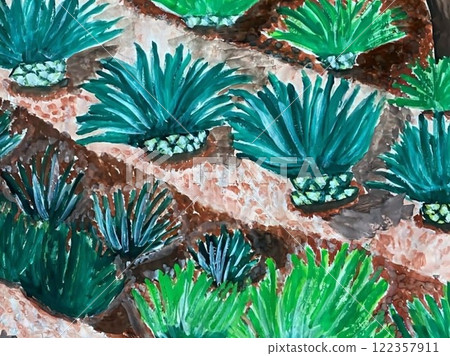 鬱鬱蔥蔥的室內植物 122357911