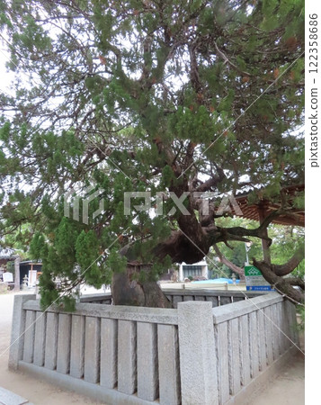 高砂神社,位於兵庫縣高砂市,以相生鬆聞名,也是高砂的能樂和能樂舞台之一。 高砂神社,位於兵庫縣高砂市,以相生鬆聞名,也是高砂的能樂和能樂舞台之一。 122358686