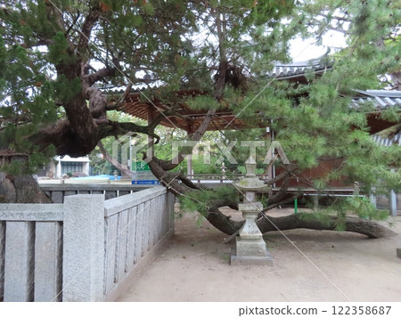 高砂神社,位於兵庫縣高砂市,以相生鬆聞名,也是高砂的能樂和能樂舞台之一。 高砂神社,位於兵庫縣高砂市,以相生鬆聞名,也是高砂的能樂和能樂舞台之一。 122358687