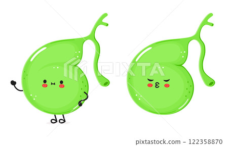 Gallbladder character. Vector hand drawn cartoon kawaii character illustration icon. Isolated on white background. Gallbladder character concept 122358870