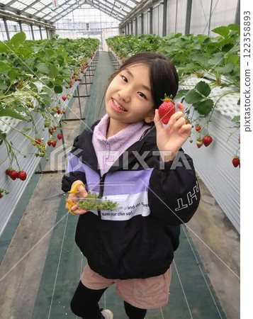 Children hunting strawberries Children hunting strawberries 122358893