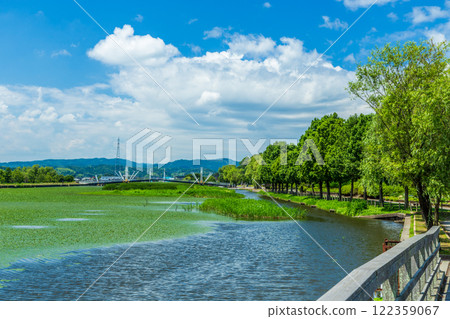 (Toyama Viewpoint) Nichogata Crossing Bridge, Junichogata Suigo Park, Himi City, July (Toyama Viewpoint) Nichogata Crossing Bridge, Junichogata Suigo Park, Himi City, July 122359067