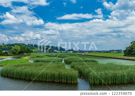 (富山展望台) 二丁方渡橋 十二町方水鄉公園 冰見市 7月 122359070