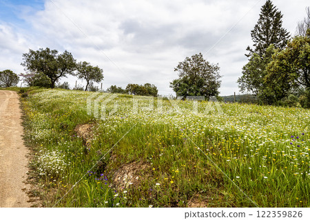 Beautiful landscape with wildflower meadows in Parque Natural do Vale do Guadiana, near Mertola, Portugal, Alentejo 122359826