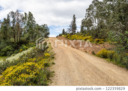 Beautiful landscape with wildflower meadows in Parque Natural do Vale do Guadiana, near Mertola, Portugal, Alentejo 122359829