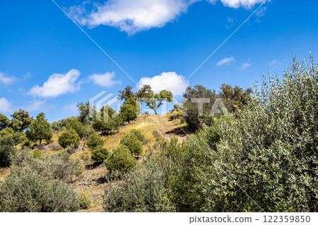 Hiking along the river Vascao located near Gioes in the Algarve region in Portugal. 122359850