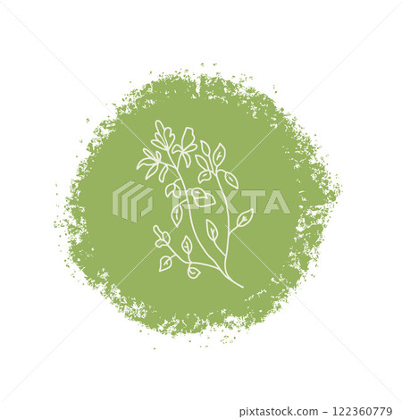 Oregano culinary herb label. Hand drawn badge. Vector hand drawn doodle illustration isolated on white background. Oregano culinary herb label. Hand drawn badge. Vector hand drawn doodle illustration isolated on white background. 122360779