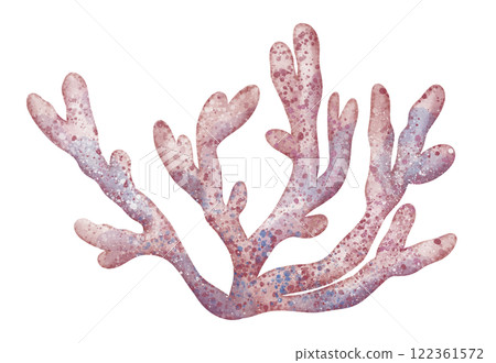 Watercolor Coral Reef. Illustration of sea object in pastel pink colors for childish greeting cards or kids invitations in nautical style. Drawing of underwater marine plant for icon or logo Watercolor Coral Reef. Illustration of sea object in pastel pink colors for childish greeting cards or kids invitations in nautical style. Drawing of underwater marine plant for icon or logo 122361572