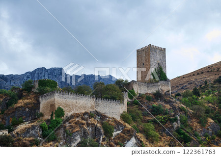Historic stone castle surrounded by nature on a hill under cloudy skies 122361763