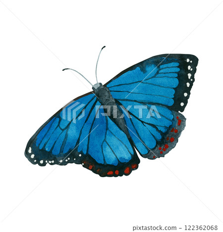 Morpho butterfly in bright blue tones, with white and red dots on the wings, hand painted in watercolor. Watercolor illustration. Suitable for cards, printing on fabric and invitations. Morpho butterfly in bright blue tones, with white and red dots on the wings, hand painted in watercolor. Watercolor illustration. Suitable for cards, printing on fabric and invitations. 122362068